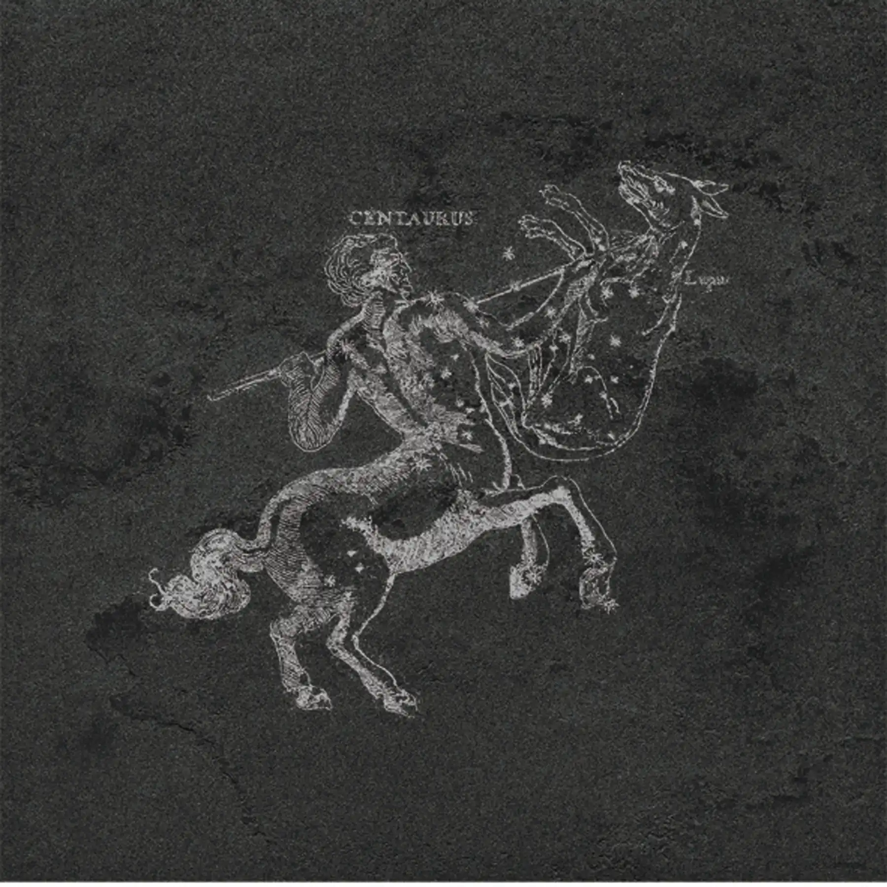 Pietra Lavica Centrauro Gryphea 49x49 cm